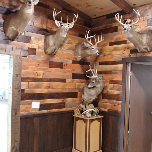 Warning: Undefined array key 